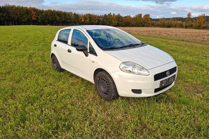 Fiat Punto Gebrauchtwagen