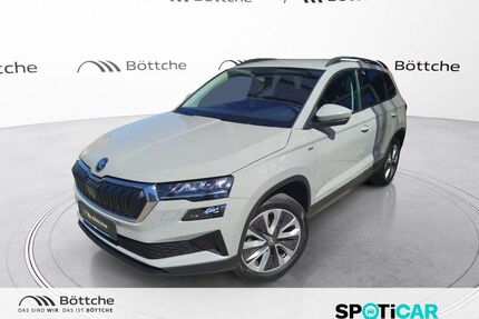 Skoda Karoq Gebrauchtwagen