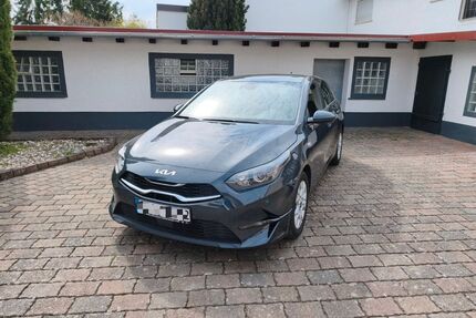 Kia ceed / Ceed Gebrauchtwagen