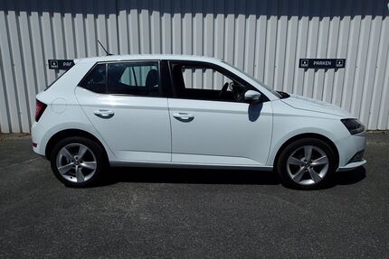 Skoda Fabia Gebrauchtwagen