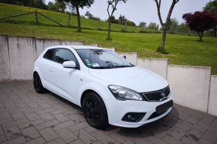 Kia pro ceed / ProCeed Gebrauchtwagen