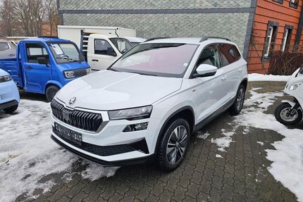 Skoda Karoq Gebrauchtwagen