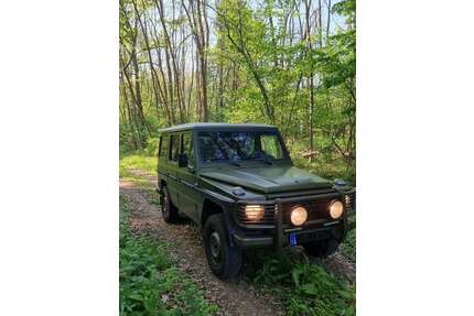 Mercedes-Benz G 290 Gebrauchtwagen