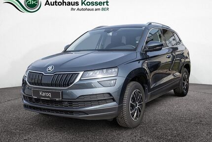 Skoda Karoq Gebrauchtwagen