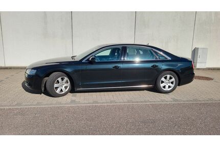 Audi A8 Gebrauchtwagen