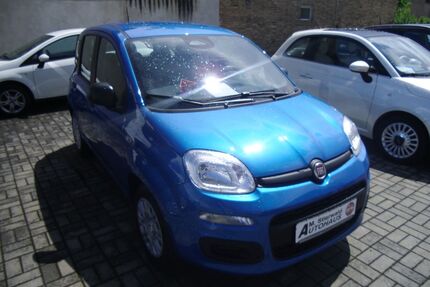 Fiat Panda Gebrauchtwagen