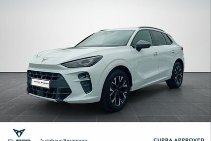 Cupra Terramar Gebrauchtwagen