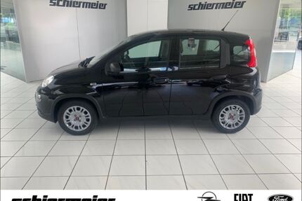 Fiat Panda Gebrauchtwagen
