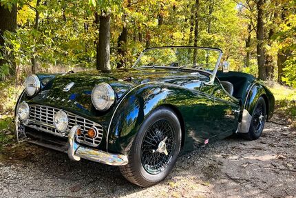 Triumph TR3 Gebrauchtwagen