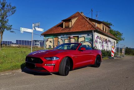 Ford Mustang Gebrauchtwagen