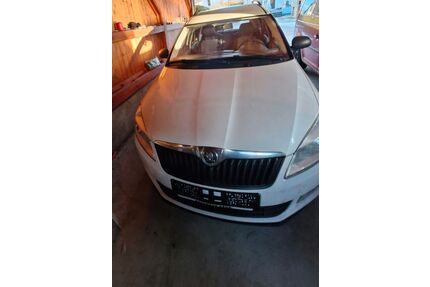 Skoda Roomster Gebrauchtwagen