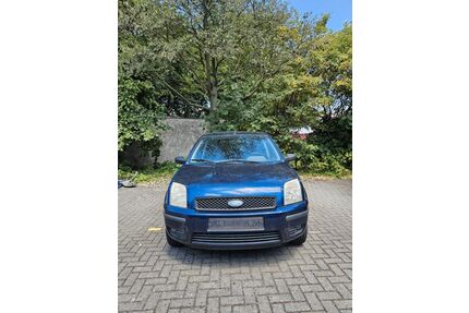 Ford Fusion Gebrauchtwagen