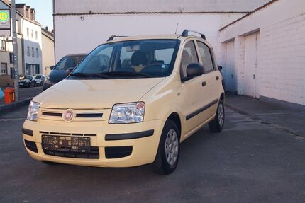 Fiat Panda Gebrauchtwagen