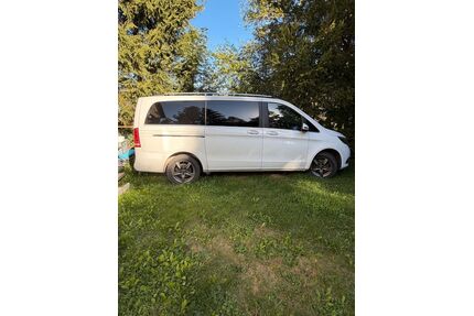 Mercedes-Benz V 250 Gebrauchtwagen