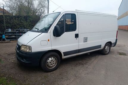 Fiat Ducato Gebrauchtwagen