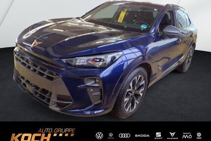 Cupra Terramar Gebrauchtwagen