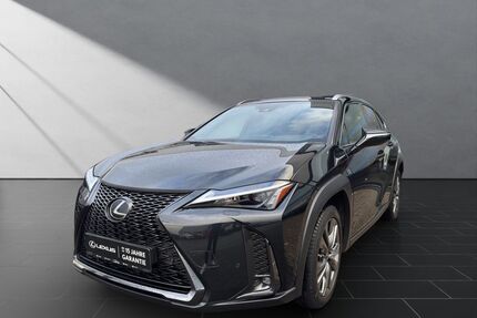 Lexus UX Gebrauchtwagen