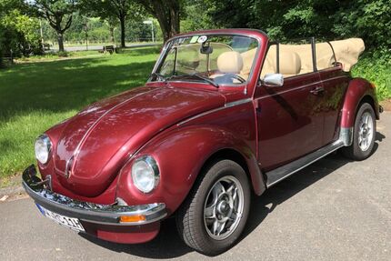 VW Käfer Gebrauchtwagen