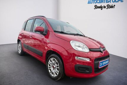 Fiat Panda Gebrauchtwagen