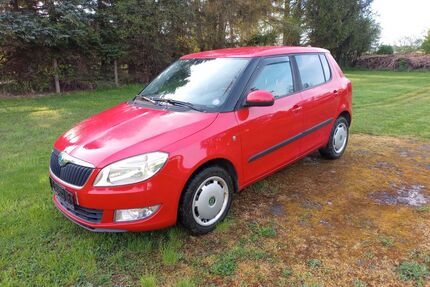 Skoda Fabia Gebrauchtwagen