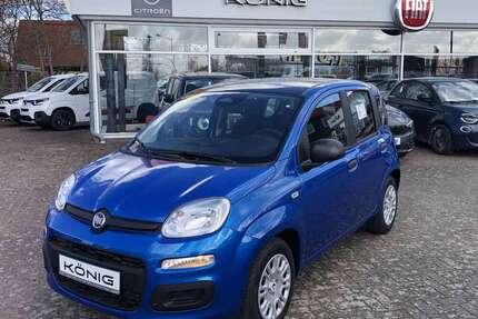 Fiat Panda Gebrauchtwagen