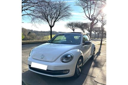 VW Beetle Gebrauchtwagen