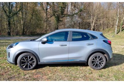 Ford Puma Gebrauchtwagen