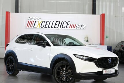 Mazda CX-30 NAGISA / LED, BOSE, HEAD-UP, NAVI+KAMERA 
