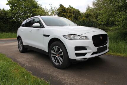 Jaguar F-Pace Gebrauchtwagen