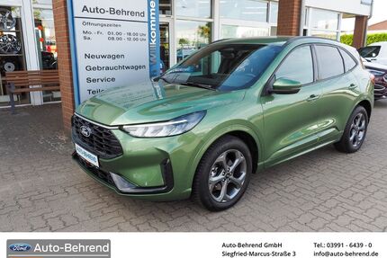Ford Kuga Gebrauchtwagen