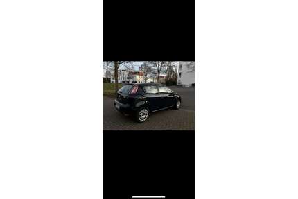 Fiat Punto Gebrauchtwagen