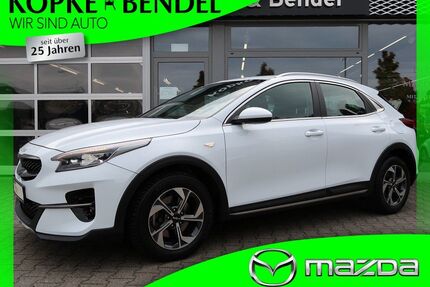 Kia XCeed Gebrauchtwagen