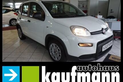 Fiat Panda Gebrauchtwagen