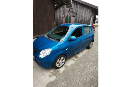 Kia Picanto Gebrauchtwagen