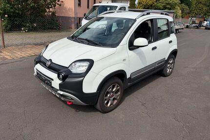 Fiat Panda Gebrauchtwagen