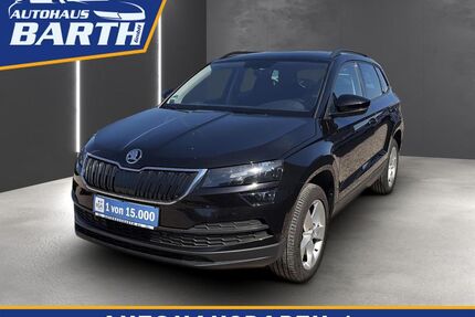 Skoda Karoq Gebrauchtwagen