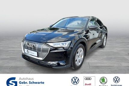 Audi e-tron Gebrauchtwagen