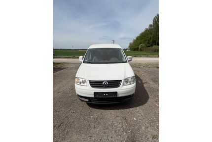 VW Caddy Gebrauchtwagen