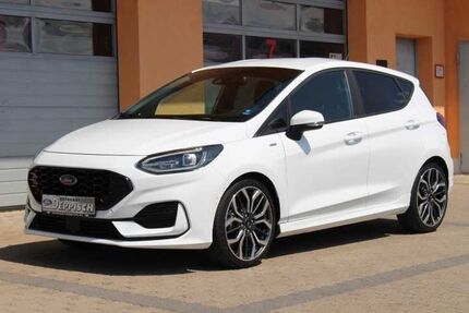 Ford Fiesta Gebrauchtwagen