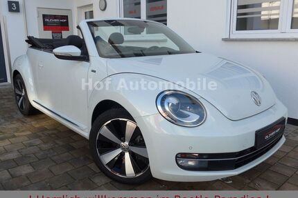 VW Beetle Gebrauchtwagen