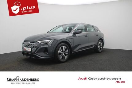 Audi Q8 e-tron Gebrauchtwagen