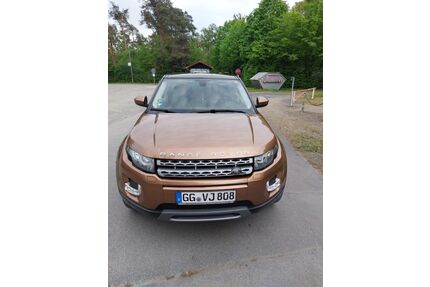 Land Rover Range Rover Evoque Gebrauchtwagen