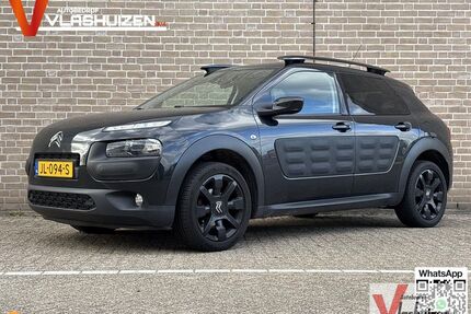 Citroen C4 Cactus Gebrauchtwagen