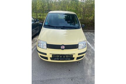 Fiat Panda Gebrauchtwagen