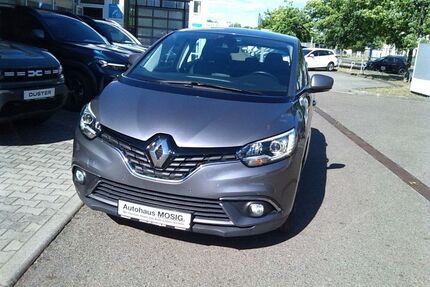Renault Scenic Gebrauchtwagen