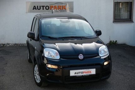 Fiat Panda Gebrauchtwagen