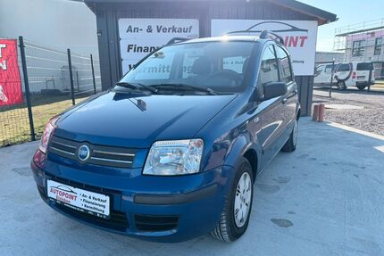 Fiat New Panda Gebrauchtwagen