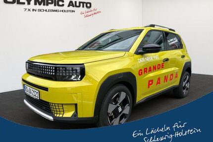 Fiat Grande Panda Gebrauchtwagen