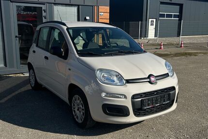 Fiat Panda Gebrauchtwagen