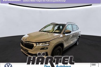 Skoda Karoq Gebrauchtwagen